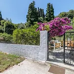 Machis House Semesterbostad Skopelos stad